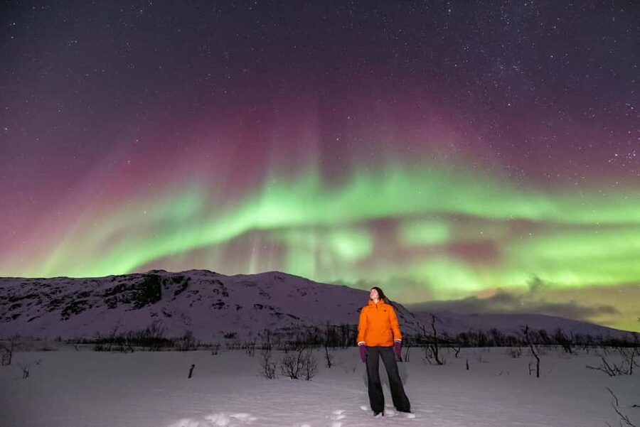Tromsø: Northern Lights Chase by a comfortable bus - Hot drinks, cookies, and the cold-weather reality