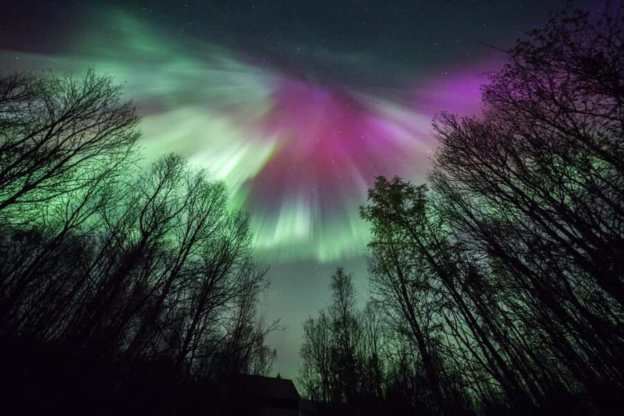 Tromsø: Northern Lights Chase + Free Professional Photos - Is $196 a fair price?