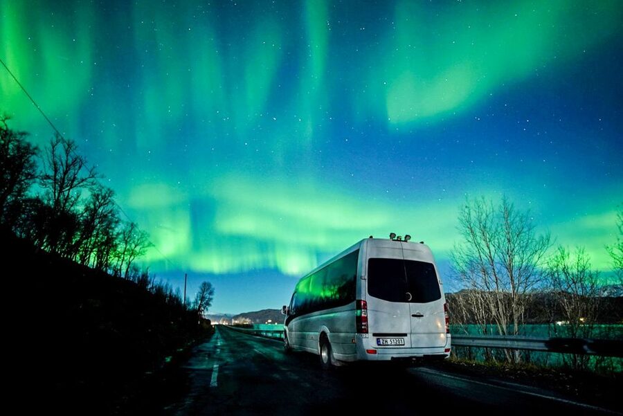 Tromsø: Northern Lights Chase Minibus Tour - Key points before you book