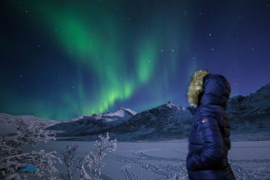 Tromso: Northern Lights Chase with Photo Package Included - Hot chocolate, cookies, and the cold factor