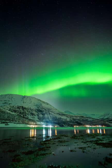 Tromsø: Northern Lights Focus Tour, German/English, minibus, meal - Key points to know before booking