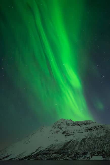 Tromsø: Northern Lights Focus Tour, German/English, minibus, meal - Why this Tromsø aurora tour is different