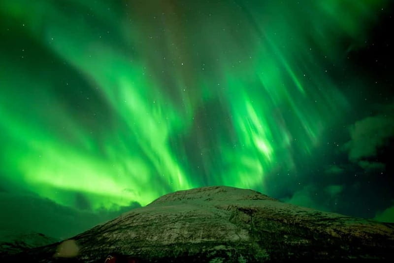 Tromsø: Northern Lights Focus Tour, German/English, minibus, meal - Stop two: dark skies and photo time