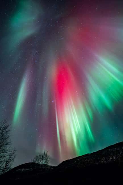 Tromsø: Northern Lights Focus Tour, German/English, minibus, meal - Who should book this experience?