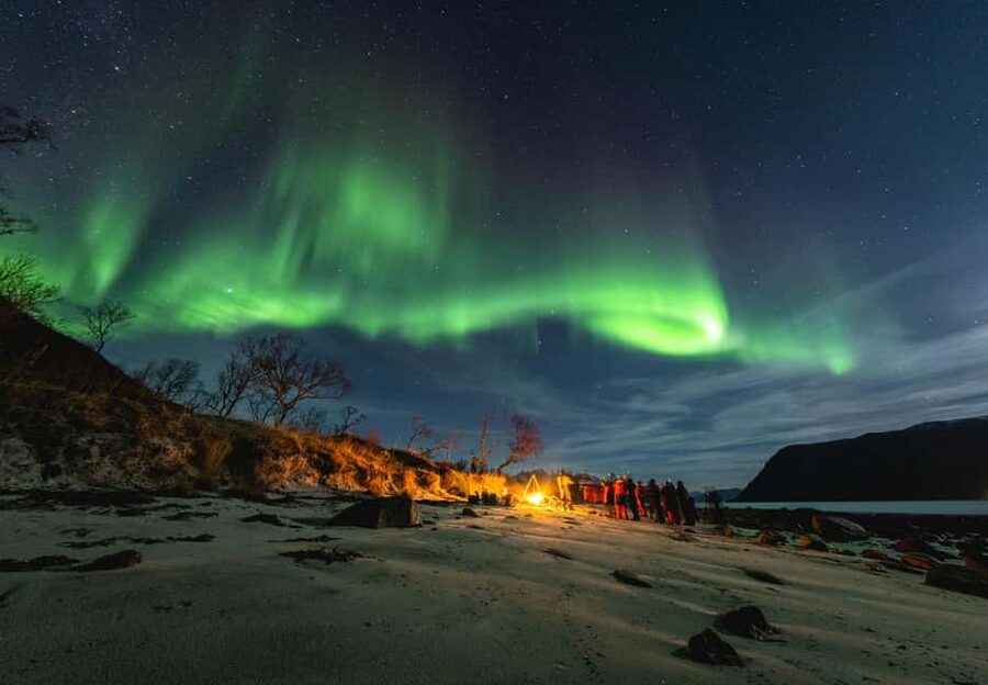 Tromsø: Northern Lights Focus Tour, German/English, minibus, meal - From Scandic Ishavshotel into the Arctic night