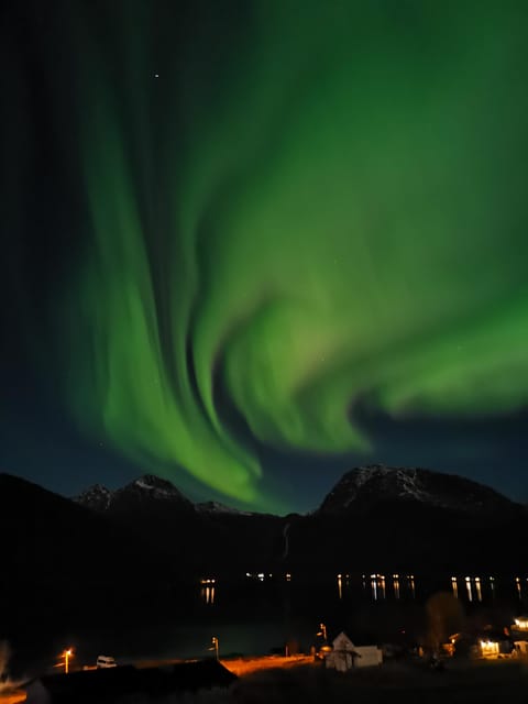 Tromsø: Northern Lights Hunt. Local Guide and Basecamp. - The Wilderness basecamp and campfire