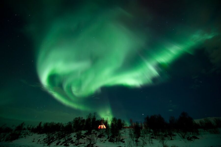 Tromsø: Northern Lights Husky Visit with Traditional Dinner - Why this husky evening works so well