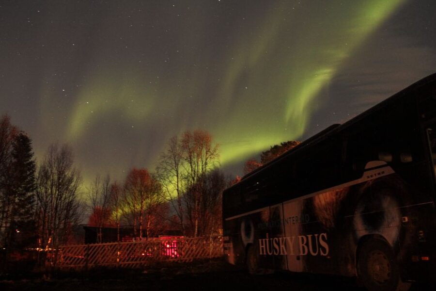 Tromsø: Northern Lights Husky Visit with Traditional Dinner - Should you book the husky visit?