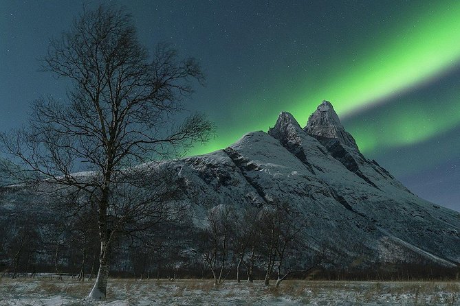 Tromso Northern Lights Minibus Chase Small Group Tour with Photos - Aurora portraits are a valuable extra