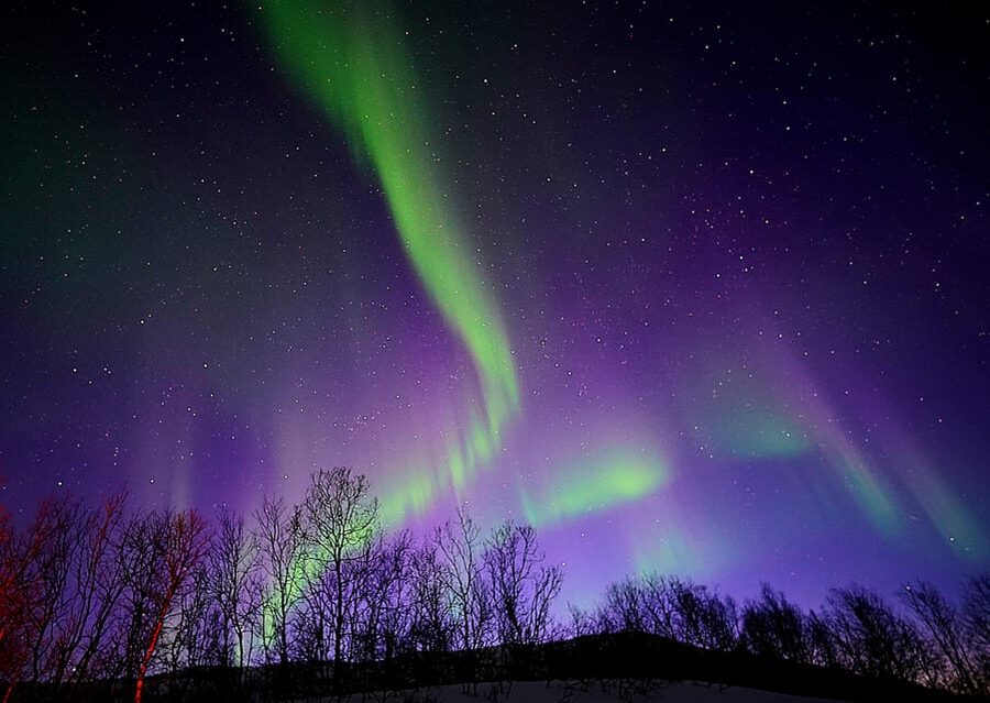 Tromso: Northern Lights Minibus Tour with Campfire - Why this Tromsø aurora chase takes the road seriously