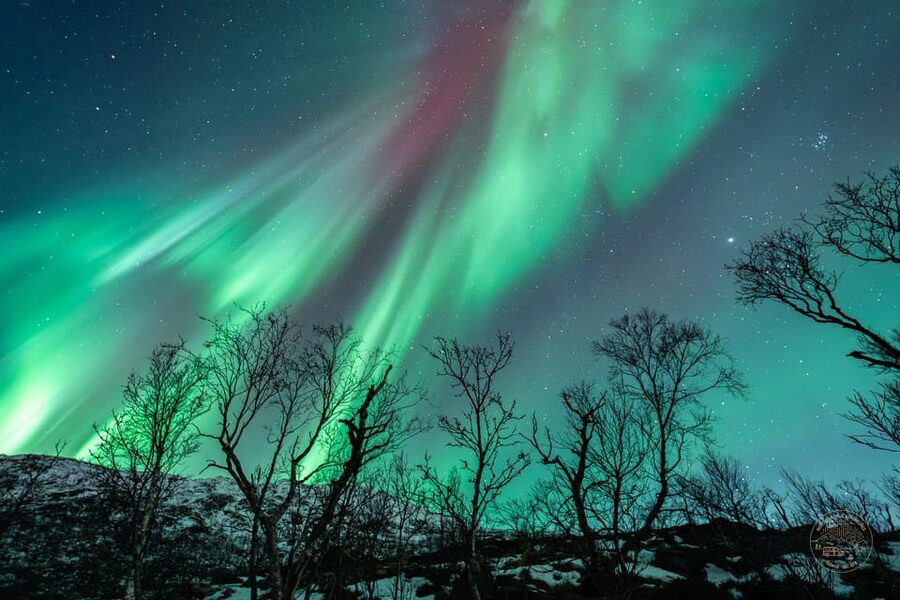 Tromsø: Northern Lights Photography Small-Group Tour - What the Small Group Changes