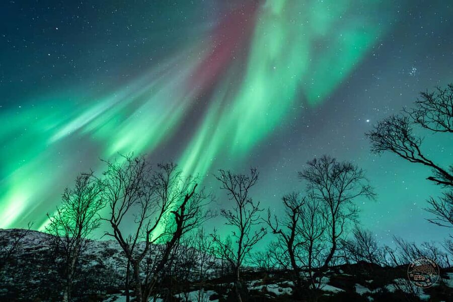 Tromsø: Northern Lights Photography Tour - Is $236 a fair price?