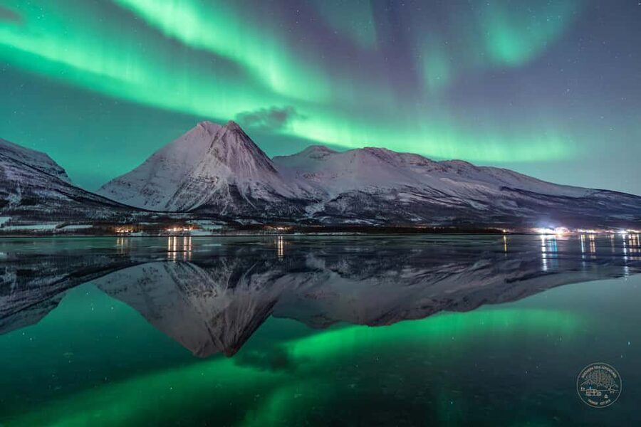 Tromsø: Northern Lights Photography Tour - Your minibus ride from Tromsø into the Arctic night