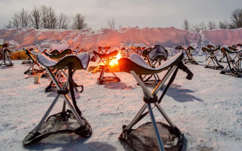 Tromsø: Northern Lights Safari - Key points before you book