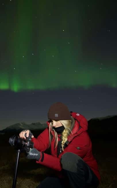 Tromsø: Northern Lights Safari - Standard safari or 15-person small group?