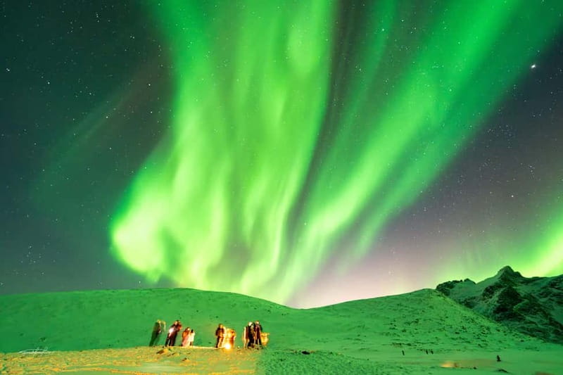 Tromsø: Northern Lights Safari - Timing your visit to Tromsø