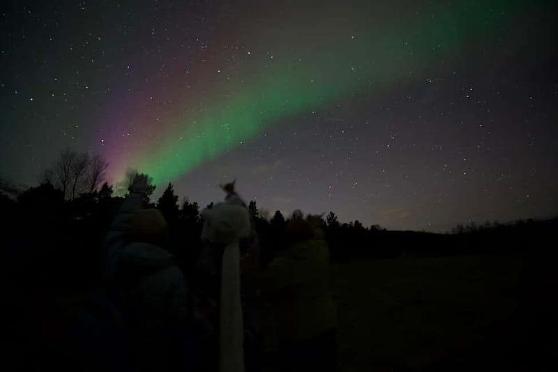 Tromsø: Northern Lights Tour - Who will enjoy this aurora hunt most