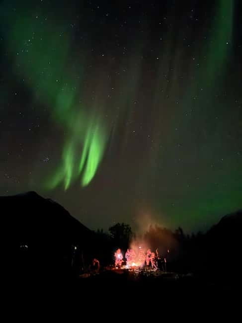 Tromsø: Northern Lights Tour - The value of $206