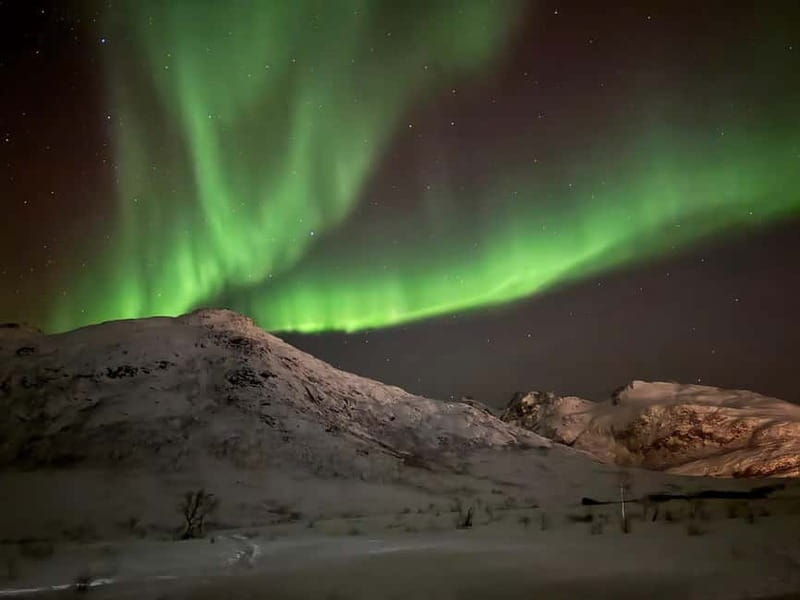 Tromsø: Northern Lights Tour - What happens when the lights do not appear