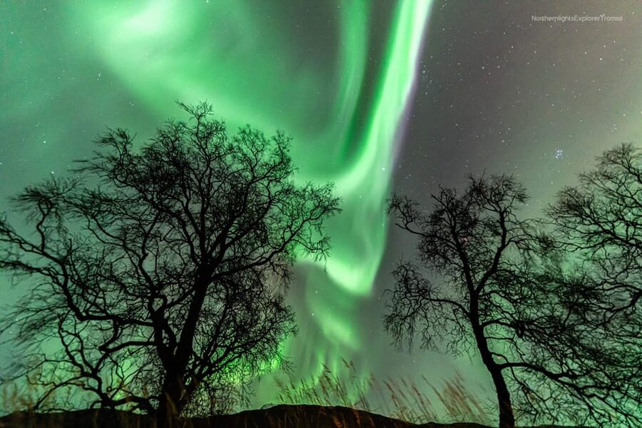 Tromsø: Northern Lights Tour w/Photo, Suits and Local Guide - What the stops are like after dark