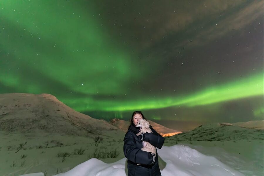 Tromsø: Northern Lights Tour w/Photo, Suits and Local Guide - Timing, drop-off, and practical planning