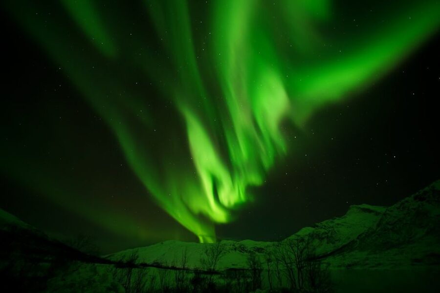 Tromsø: Northern Lights Tour with Free Professional Portrait - What the six-hour schedule feels like