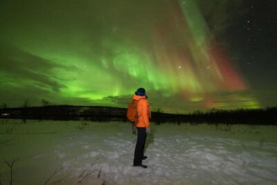 Northern Lights tour with local experts