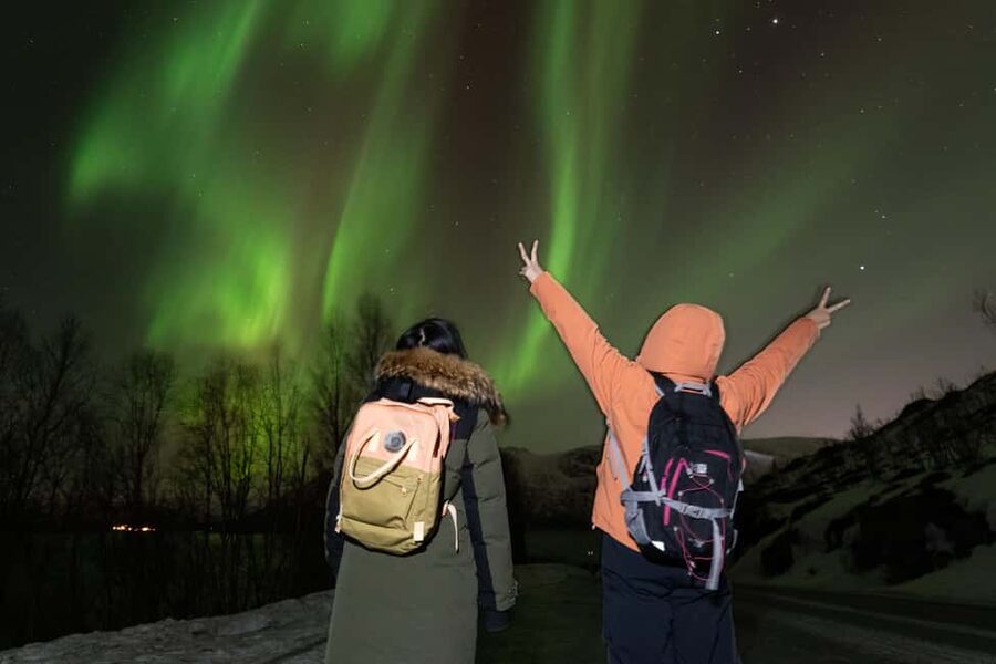 Tromsø: Northern Lights tour with local experts - What the guides add to the night
