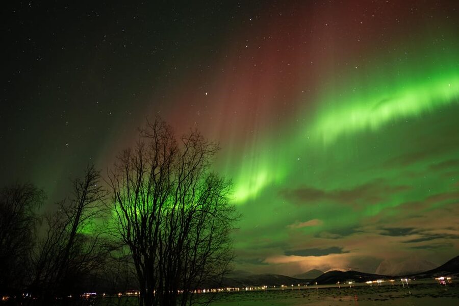 Tromsø: Northern Lights Tour with Local Guide and Photos - What makes the local guiding valuable