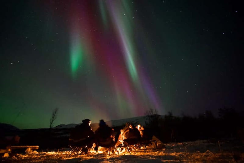 Tromsø: Northern Lights Tour - Why the guide matters more than the minibus