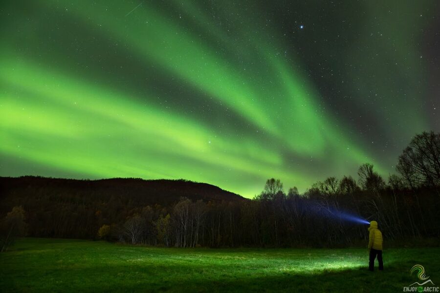 Tromsø: Northern Lights Trip with Campfire and Snacks - Key points to know before you book