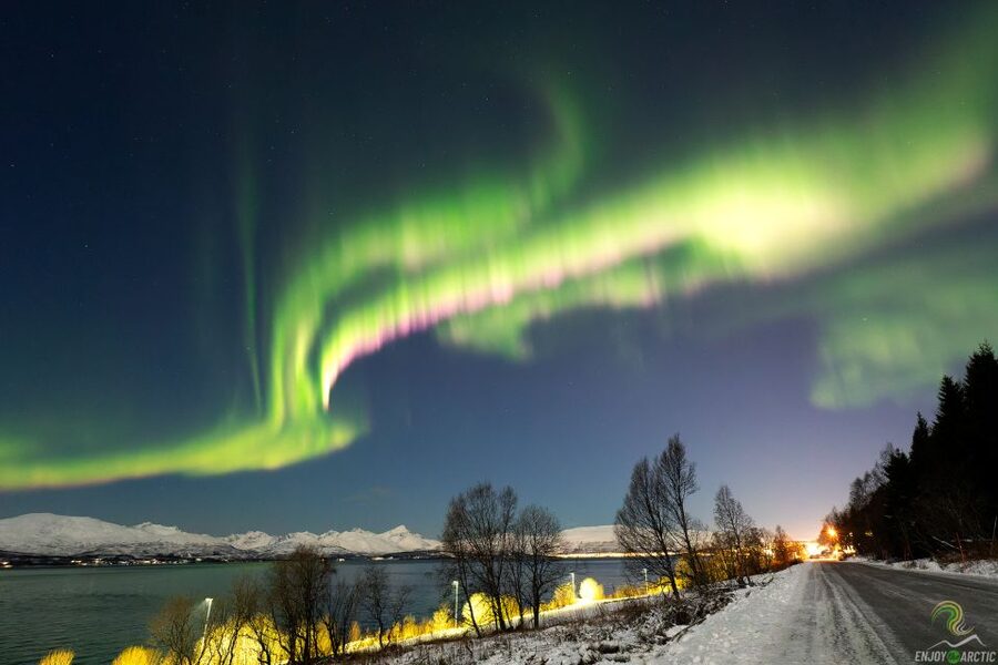 Tromsø: Northern Lights Trip with Campfire and Snacks - What the six and a half hours really feel like