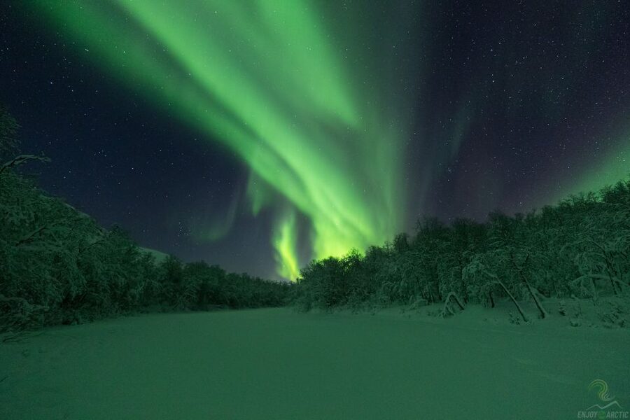 Tromsø: Northern Lights Trip with Campfire and Snacks - Who should book this Tromsø aurora trip?