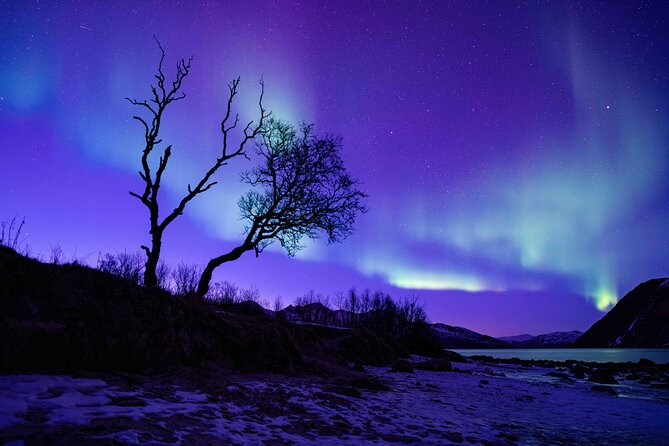 Tromsø Northern Lights with Campfire and Professional Photos - Professional photos under an unpredictable sky