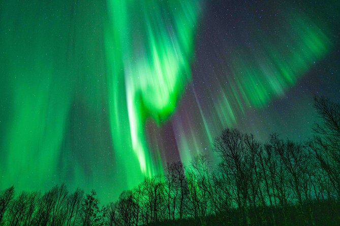 Tromsø Northern Lights with Campfire and Professional Photos - Who will enjoy this tour most?
