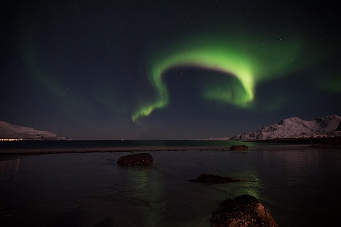 Tromsø Norway - Small Group Aurora Hunt Tour with a local guide - How much value do you get for $288.34?