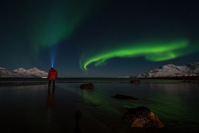 Tromsø Norway - Small Group Aurora Hunt Tour with a local guide - Coast or mountains: the route changes with the weather