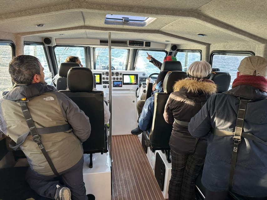 Tromsø: Orca and Whale Watching comfort heated boat Trip - The long road from Tromsø to Skjervøy