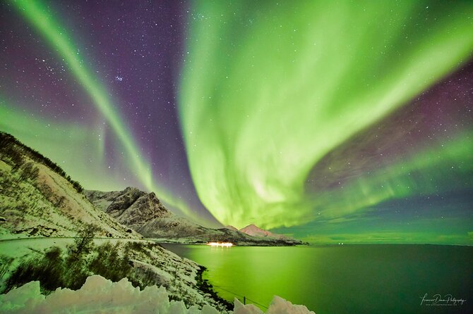 Tromso: Private Aurora Chase by Minivan - Who will get the most from this tour