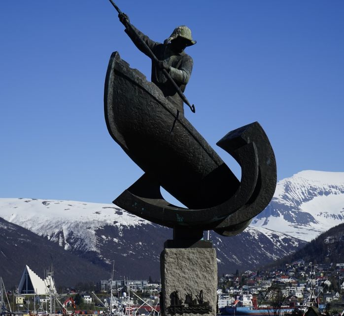Tromsø: Private City Tour - Who should book this private Tromsø tour