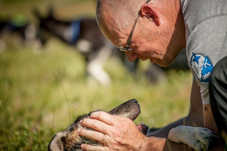 Tromsø: Puppy Training at the Husky Kennel with Lunch - Why this husky visit feels more personal