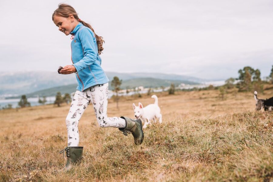 Tromsø: Puppy Training at the Husky Kennel with Lunch - Hiking with the young huskies
