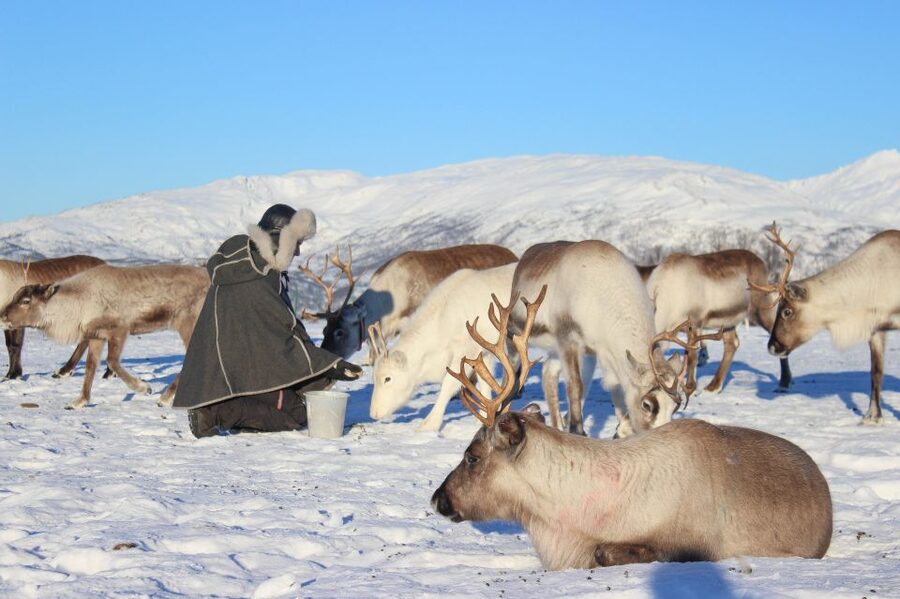 Tromsø: Reindeer Camp and Sami Cultural Tour with Lunch - Leaving Tromsø for the reindeer camp
