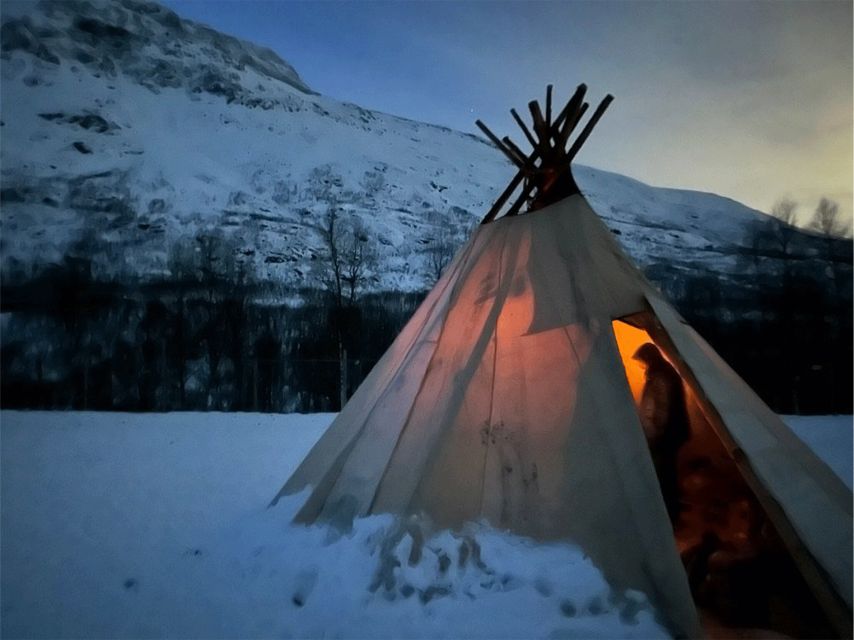 Tromsø: Reindeer Experience at a Sami Camp - Meeting reindeer in Lavangsdalen