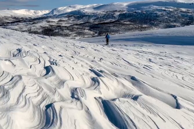Tromso: Reindeer Feeding and Snowshoeing Tour with Lunch - Key points to know before you book