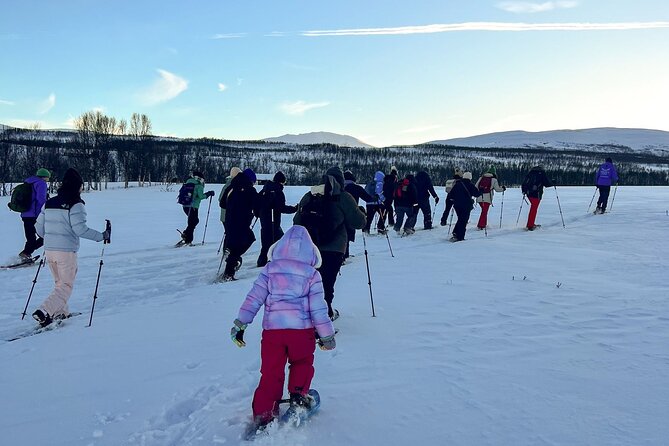 Tromso: Reindeer Feeding and Snowshoeing Tour with Lunch - Reindeer first, snowshoes second