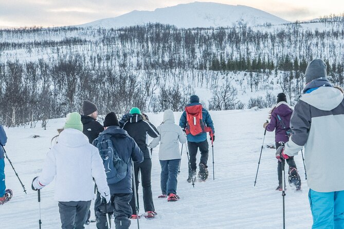 Tromso: Reindeer Feeding and Snowshoeing Tour with Lunch - Is $152.16 a fair price?