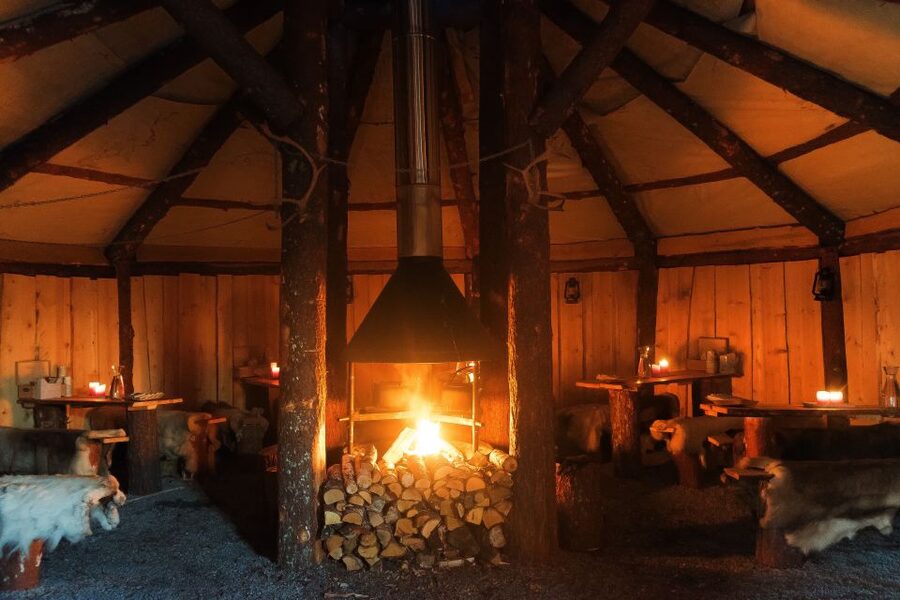 Tromsø: Reindeer Sled, Dinner, and Chance of Northern Lights - Key points at a glance