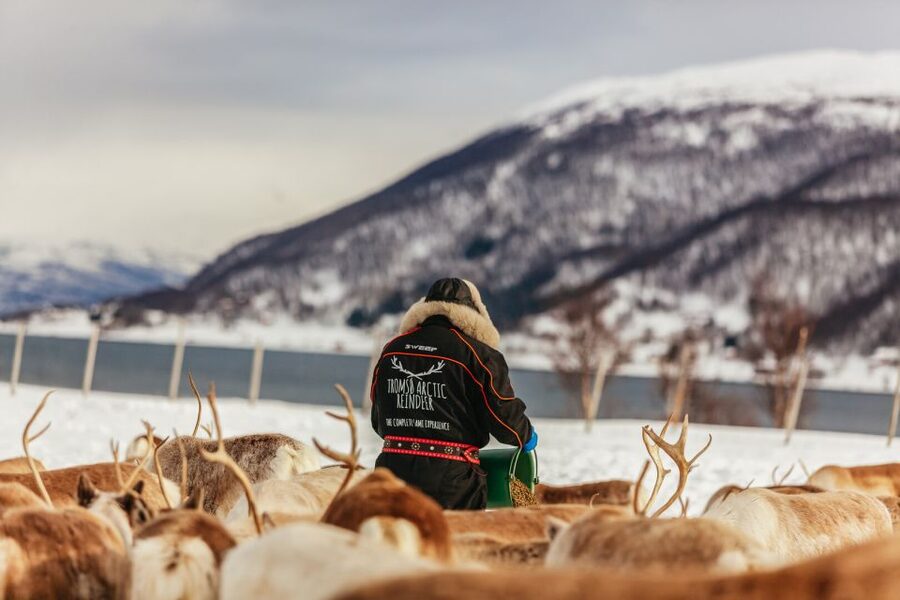 Tromsø: Reindeer Sledding & Feeding with a Sami Guide - Who will enjoy this Tromsø outing?