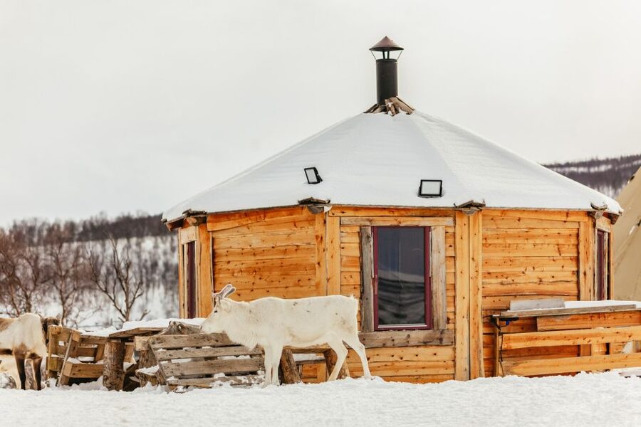 Tromsø: Reindeer Sledding & Feeding with a Sami Guide - Warm food inside the lavuu